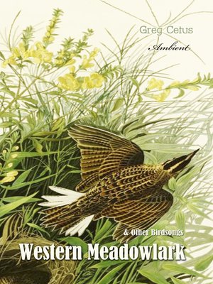 cover image of Western Meadowlark and Other Bird Songs
